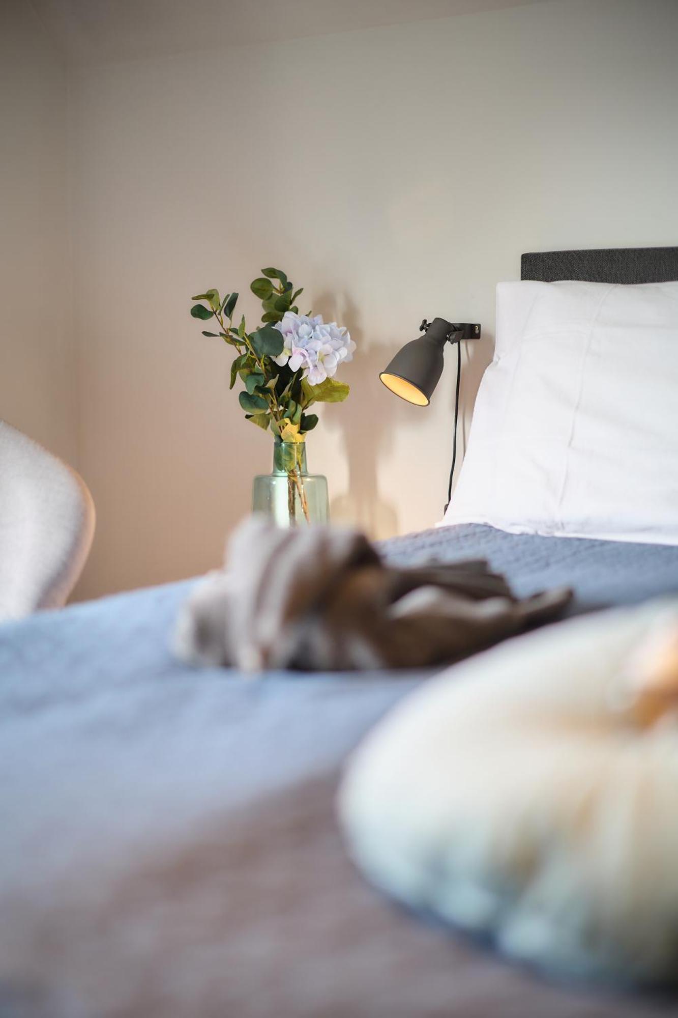 Villa Cecha B&B &Wellness Oostende Ngoại thất bức ảnh